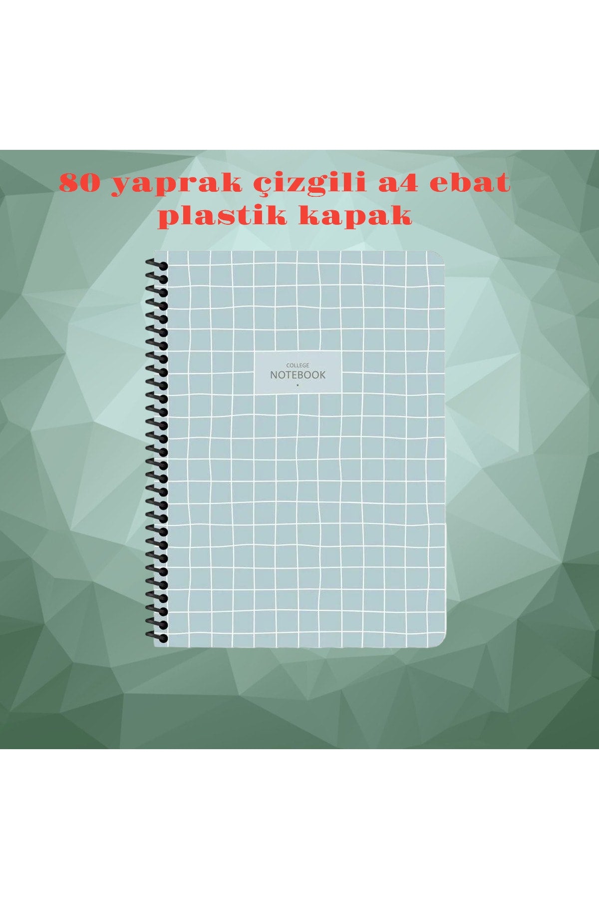 ÇİZGİLİ A4 80 YAPRAK PLASTİK KAPAK TELLİ DEFTER COLLEGE KESKİN COLOR