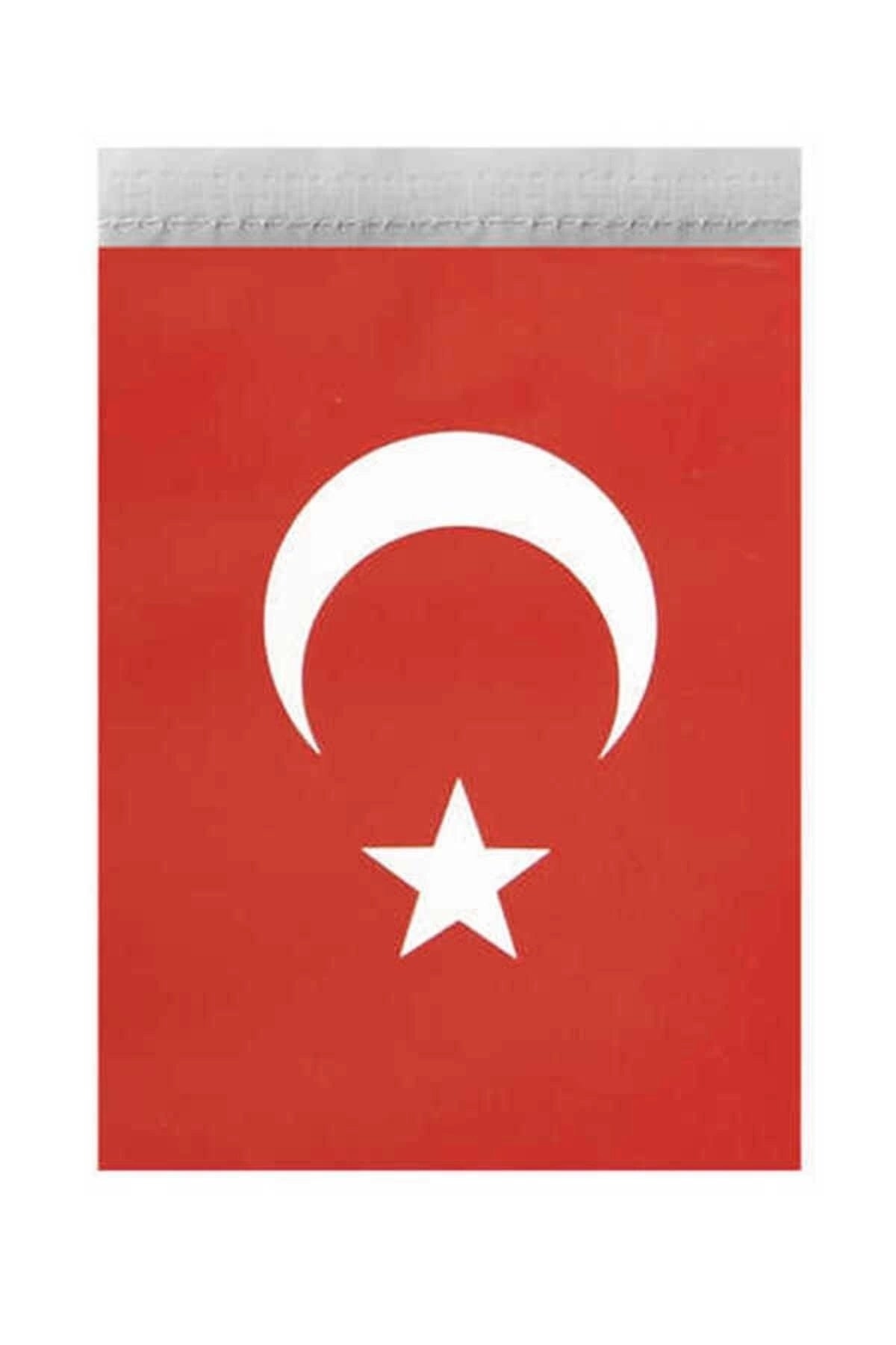 Orta Ipli Türk Bayrağı 50li
