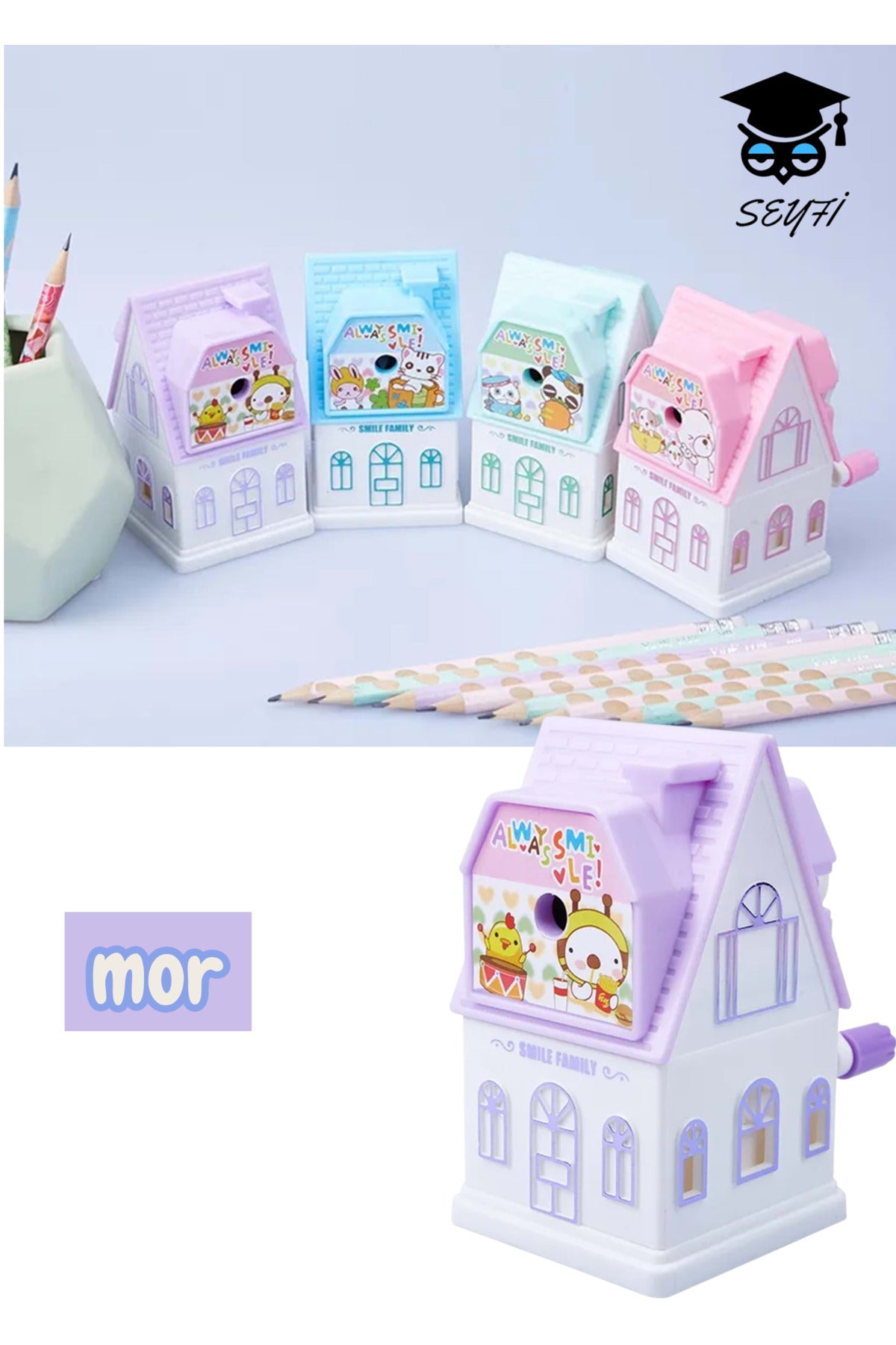 KOLLU KALEMTRAŞ EV MODEL FİGÜRLÜ MASAÜSTÜ KALEMTRAŞ