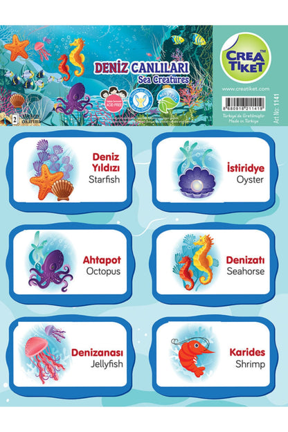 Creatiket Eğitici Çıkartma Ingilizce*türkçe