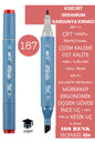 ÇİFT TARAFLI PROFESYONEL ÇİZİM KALEMİ KALICI MÜREKKEP ÜÇGEN GÖVDE İNCE UÇ 1 MM KESİK UÇ 2-6MM SKETCH