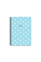 ÇİZGİLİ 16x22 CM 80 YAPRAK PLASTİK KAPAK TELLİ DEFTER 60 GRAM BEYAZ SAYFA PUANTİYE