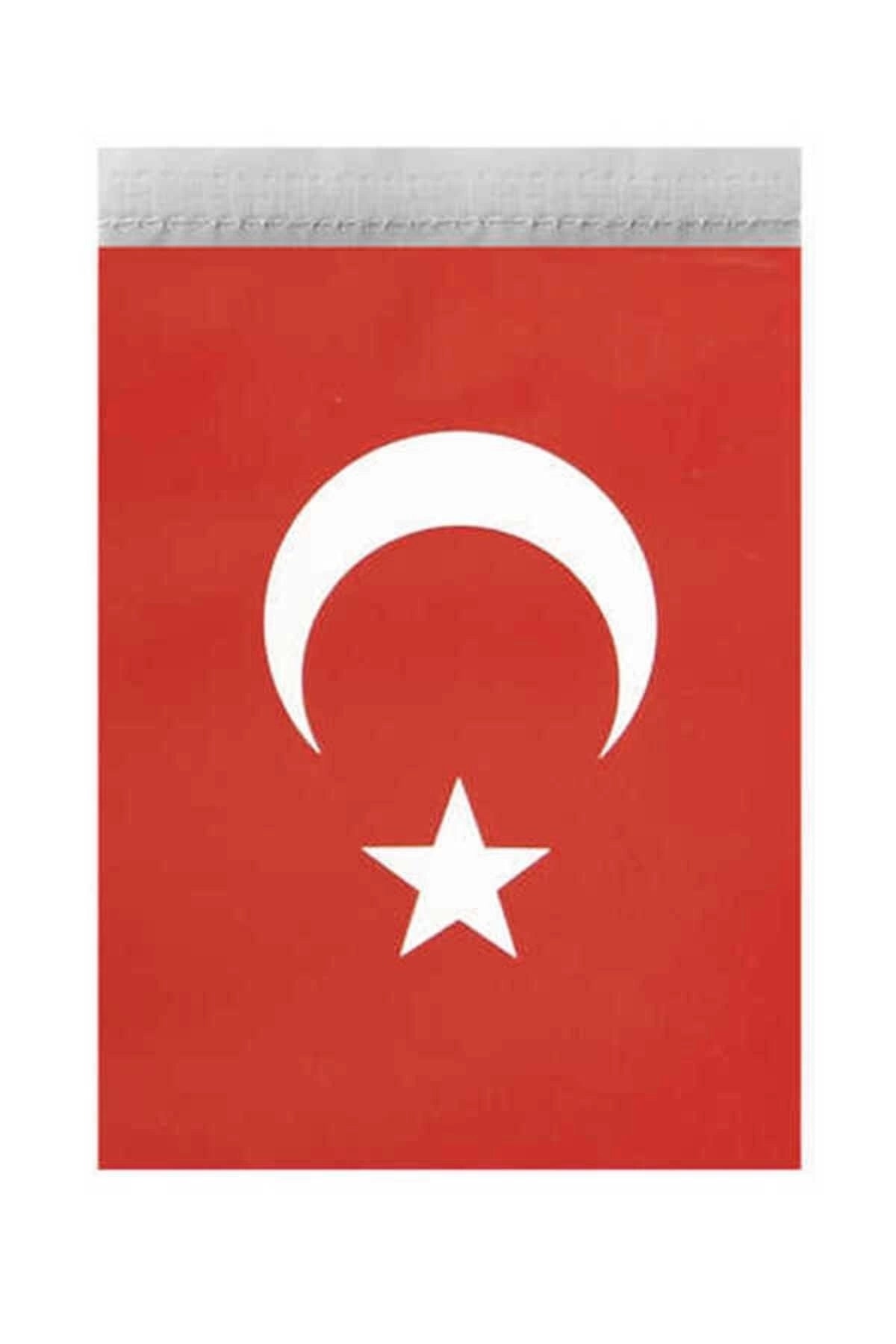 Orta Ipli Türk Bayrağı 50li