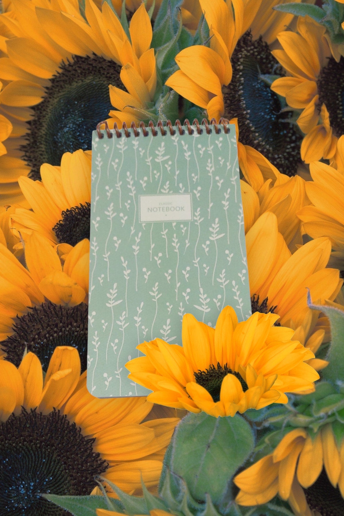 10x19 Cm 80 Yaprak Defter Çizgisiz Üstten Açılır Karton Kapak Not Defteri 60 Gr Beyaz Kağıt