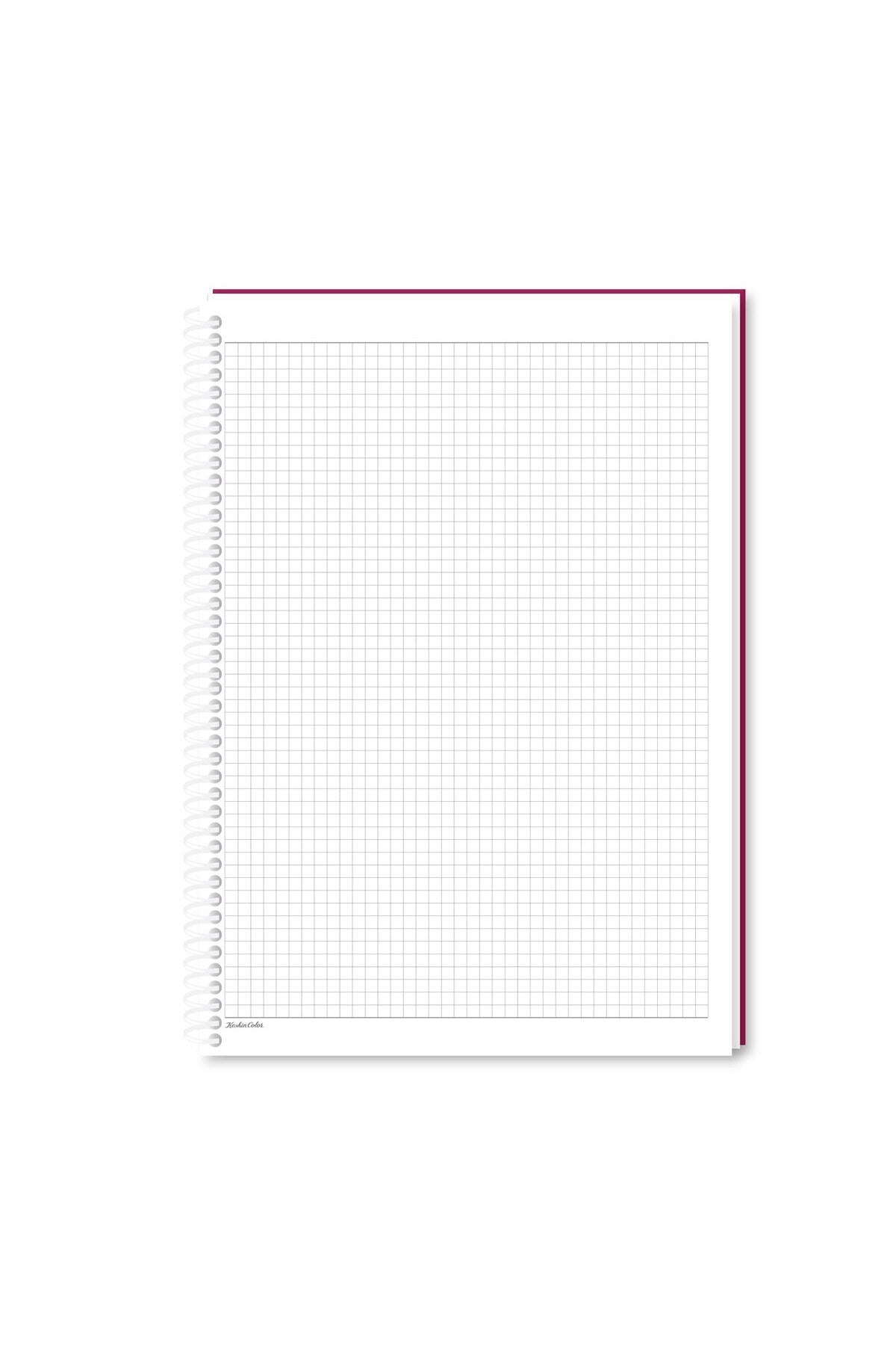 KARELİ 16X22 CM 80 YAPRAK PLASTİK KAPAK TELLİ DEFTER BEYAZ RENK SAYFALI PUANTİYE DESENLİ