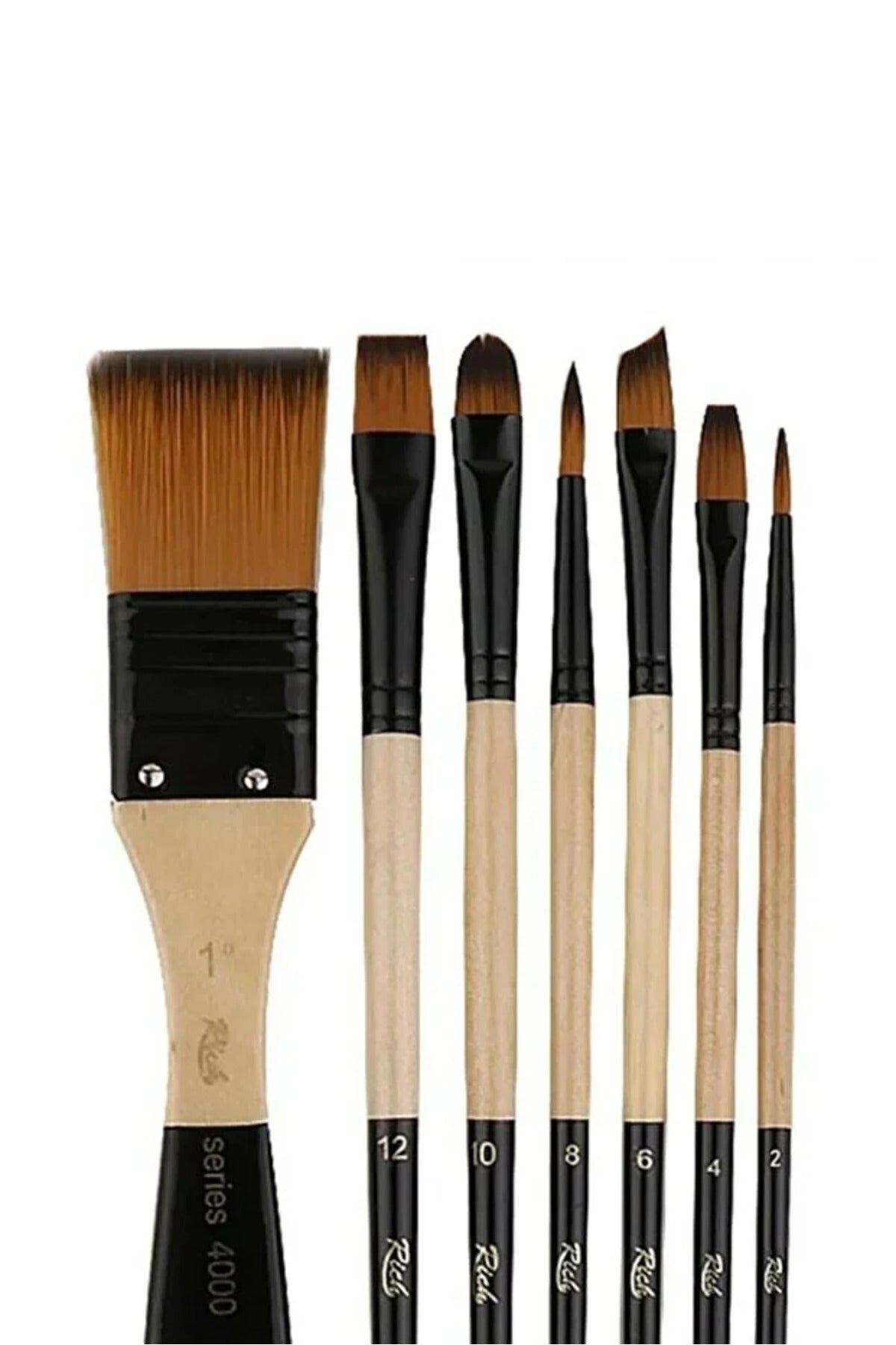 Mastermix 12x60cc CANLI + SET 1 fırça (2 parça)
