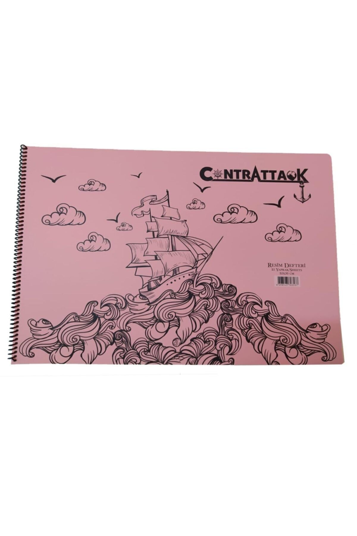 3 Adet Plastik Kapak Spiralli Resim Defteri 35 X 50 Cm 20 Yaprak