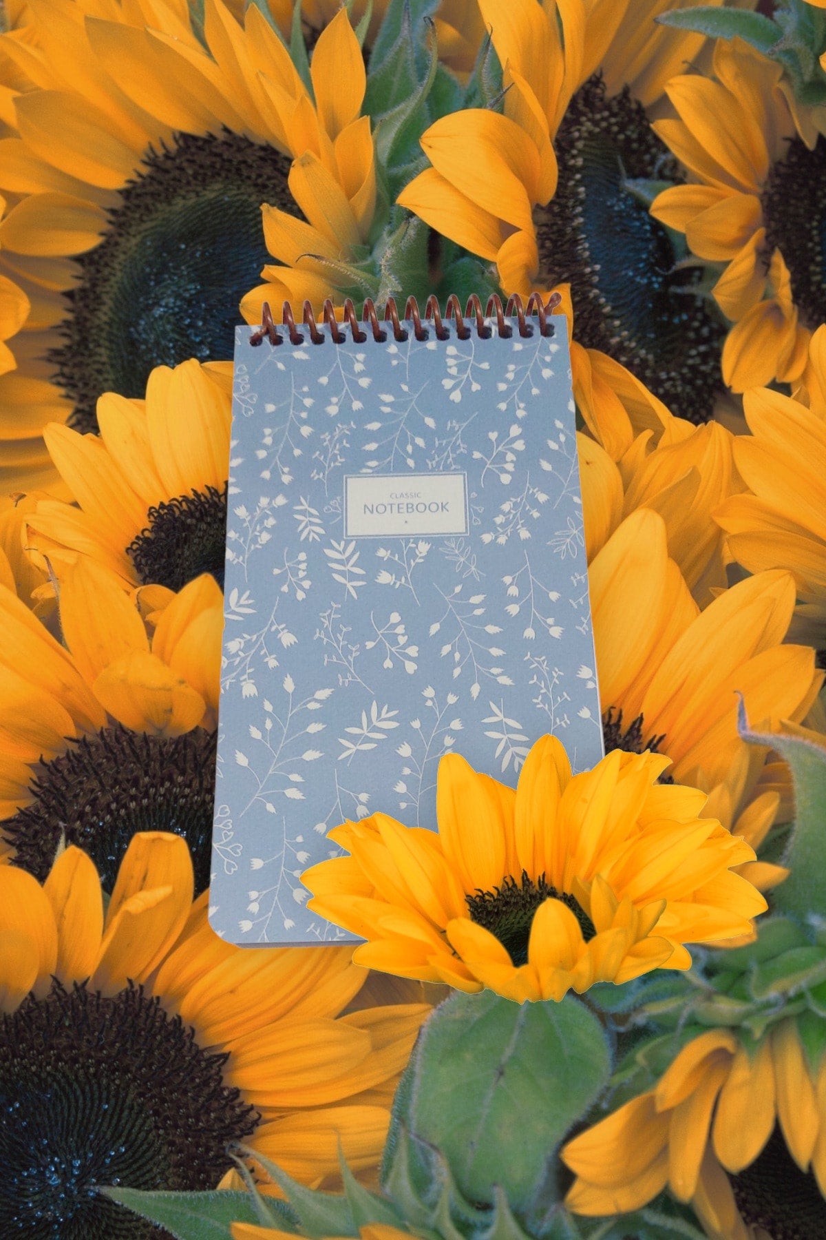 10x19 Cm 80 Yaprak Defter Çizgisiz Üstten Açılır Karton Kapak Not Defteri 60 Gr Beyaz Kağıt