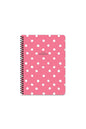 ÇİZGİLİ 16x22 CM 80 YAPRAK PLASTİK KAPAK TELLİ DEFTER 60 GRAM BEYAZ SAYFA PUANTİYE