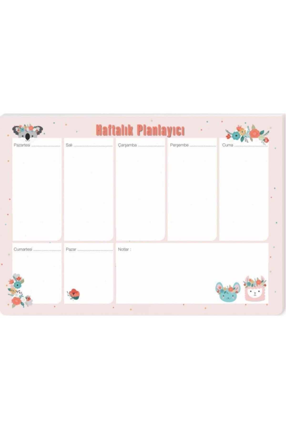 Keskin Color Haftalık Planlayıcı 17x24cm. 52 Yp. Planner Koalalama