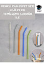 RENKLİ CAM PİPET SETİ 4 LÜ 21 CM TEMİZLEME ÇUBUĞU İLE