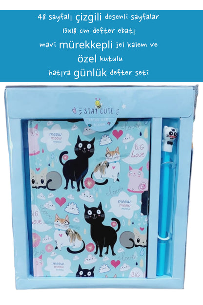48 sayfalı çizgili desenli sayfalar 13x18 cm defter ebatı mavi mürekkepli jel kalem özel kutulu
