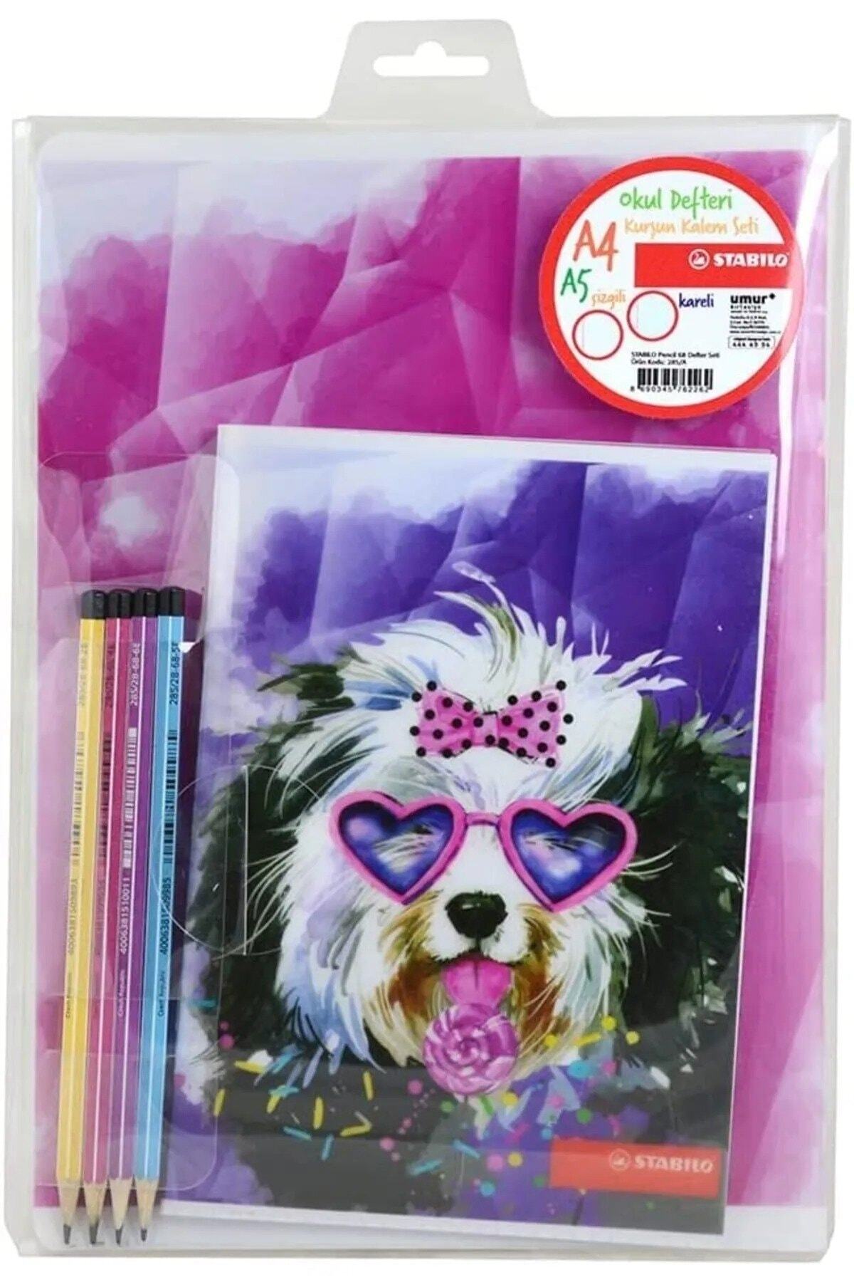 2 Adet Plastik Kapak Defter Ve 4 Adet Kurşun Kalem 1 Adet A5 40 Yp Çizgili 1 Adet A4 40 Yp Kareli