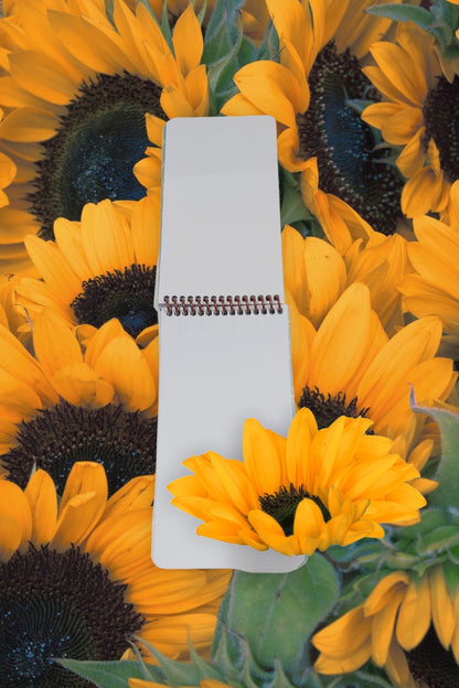 10x19 Cm 80 Yaprak Defter Çizgisiz Üstten Açılır Karton Kapak Not Defteri 60 Gr Beyaz Kağıt