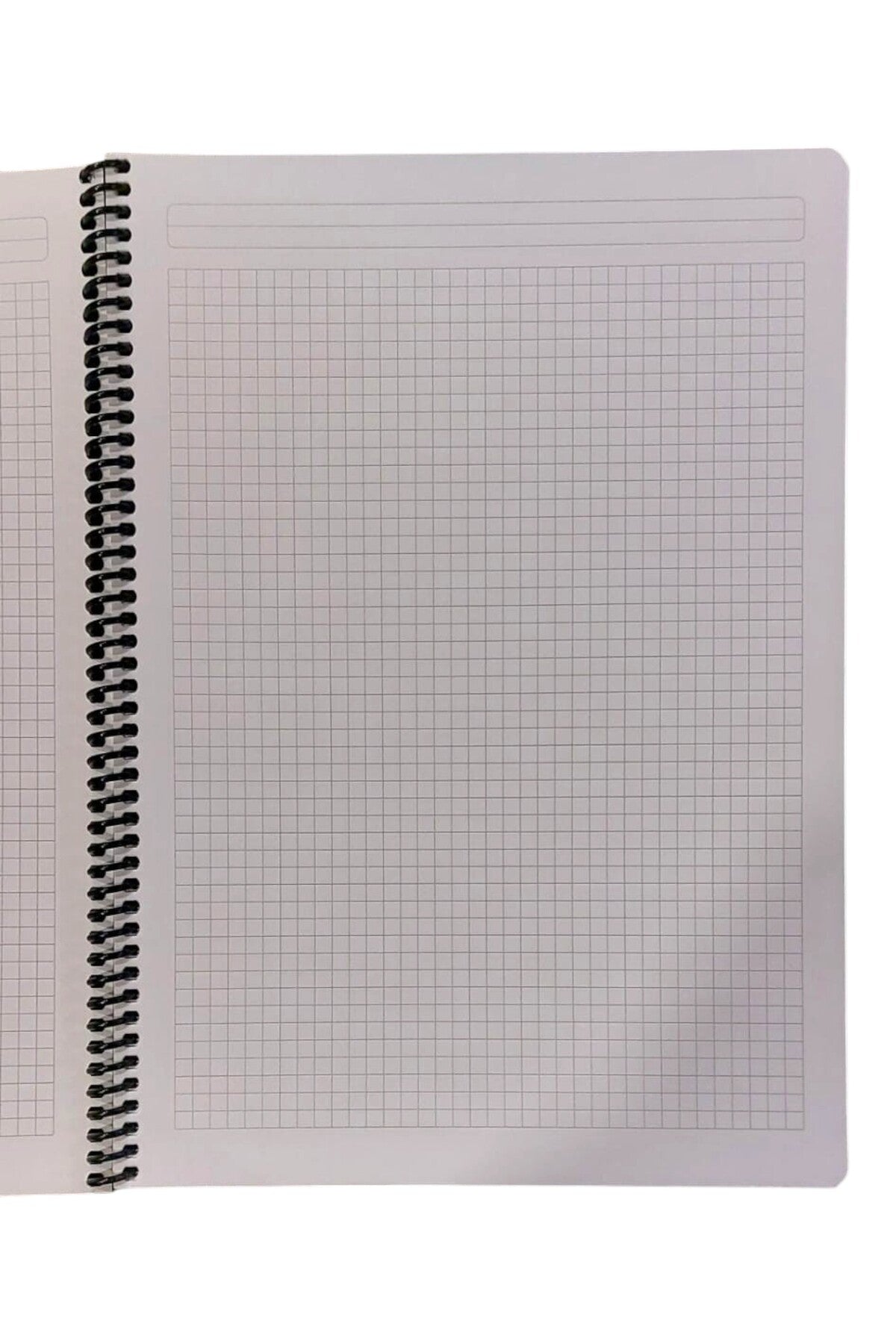 A4 telli 80 yaprak KARELİ Umur smiley emoji defter PLASTİK KAPAK
