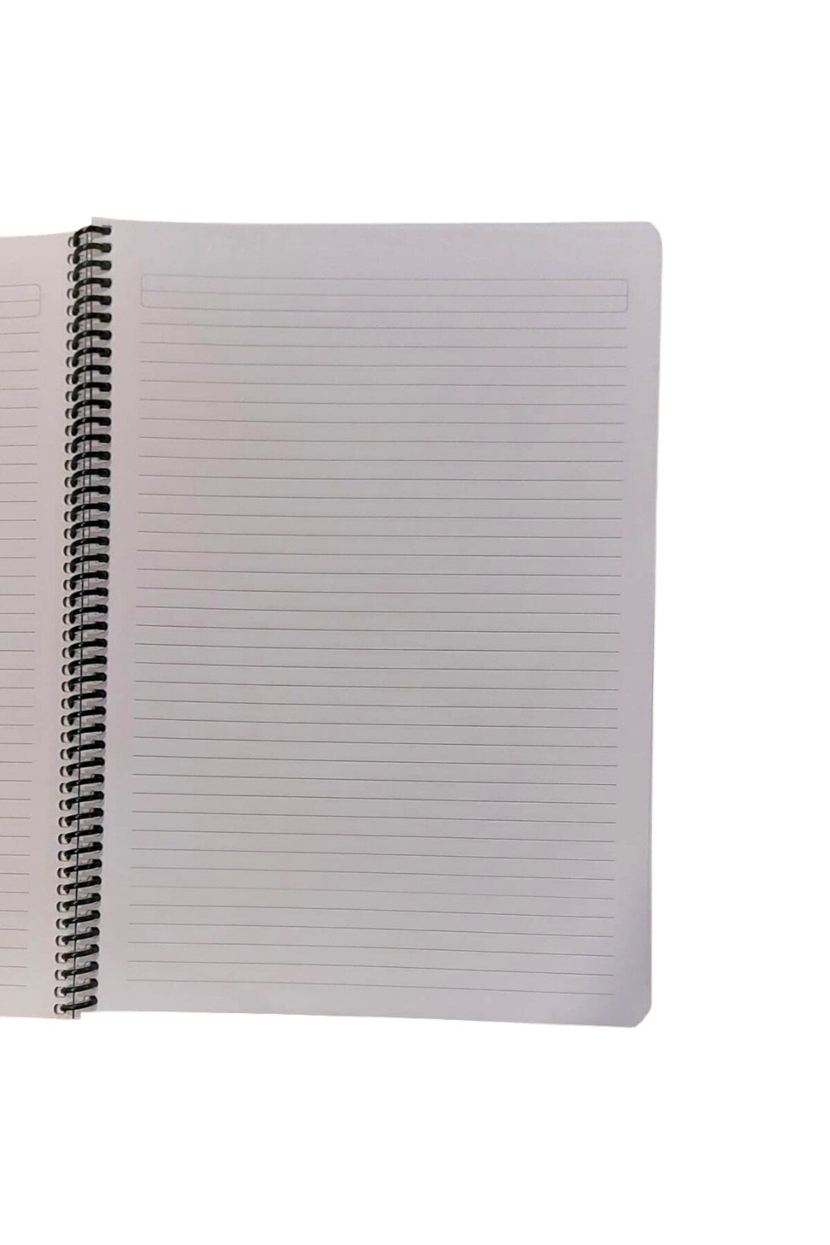 A4 telli 80 yaprak ÇİZGİLİ Umur smiley emoji defter PLASTİK KAPAK